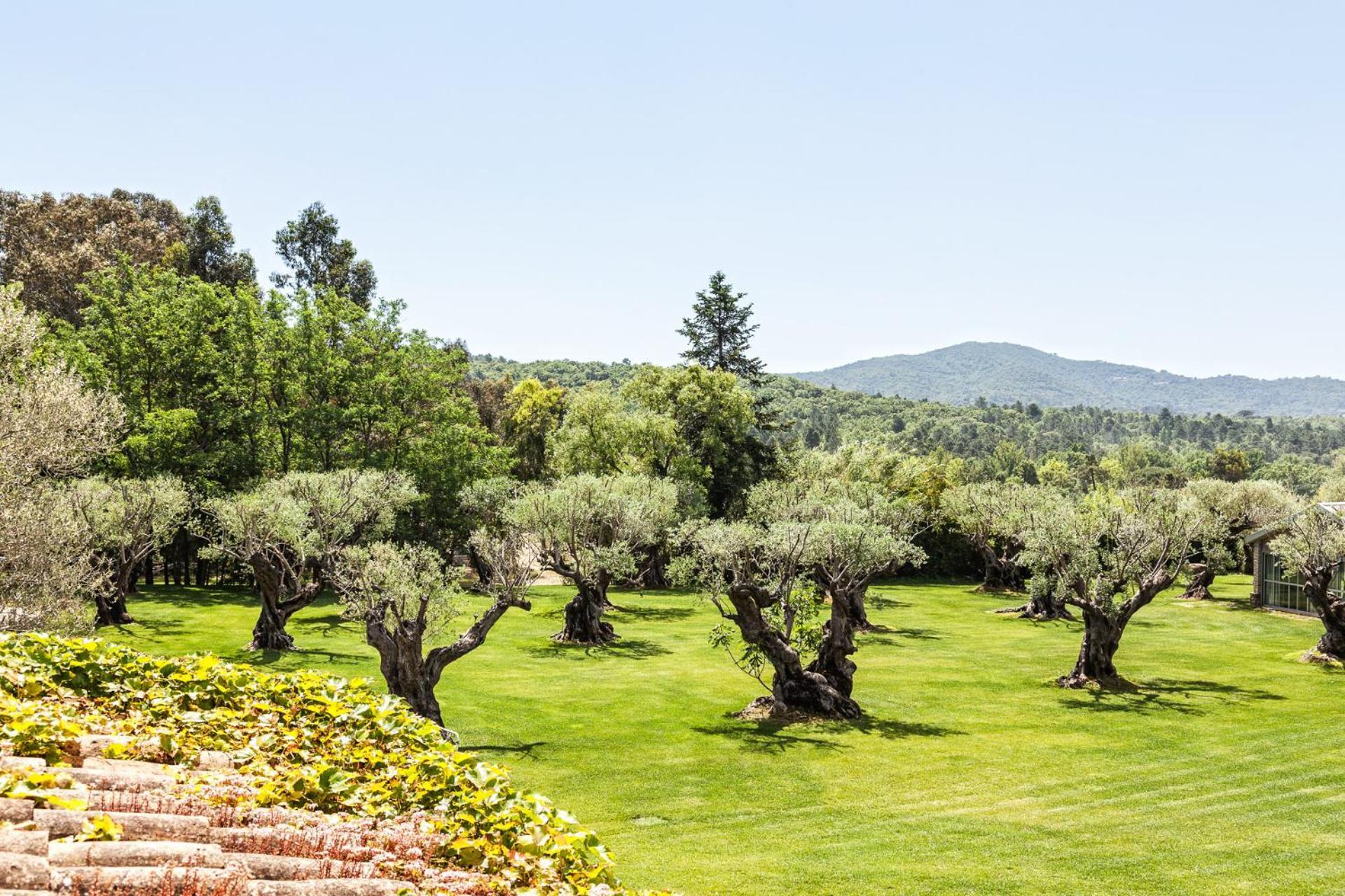Guest house Domaine Les Mesanges 3*