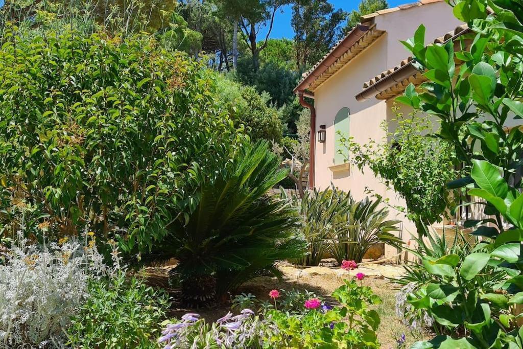 Maison Les Marres St-tropez / Ramatuelle