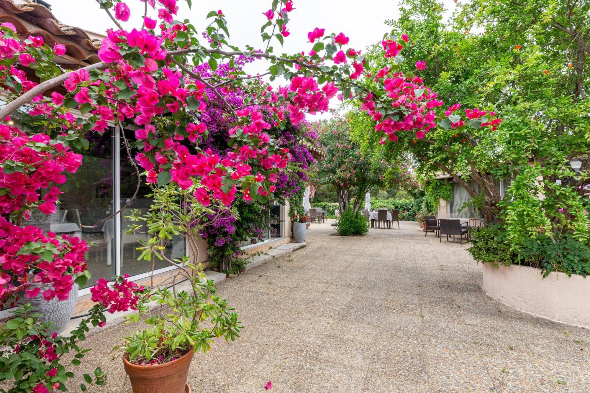 Guest house D'hotes Les Amandiers