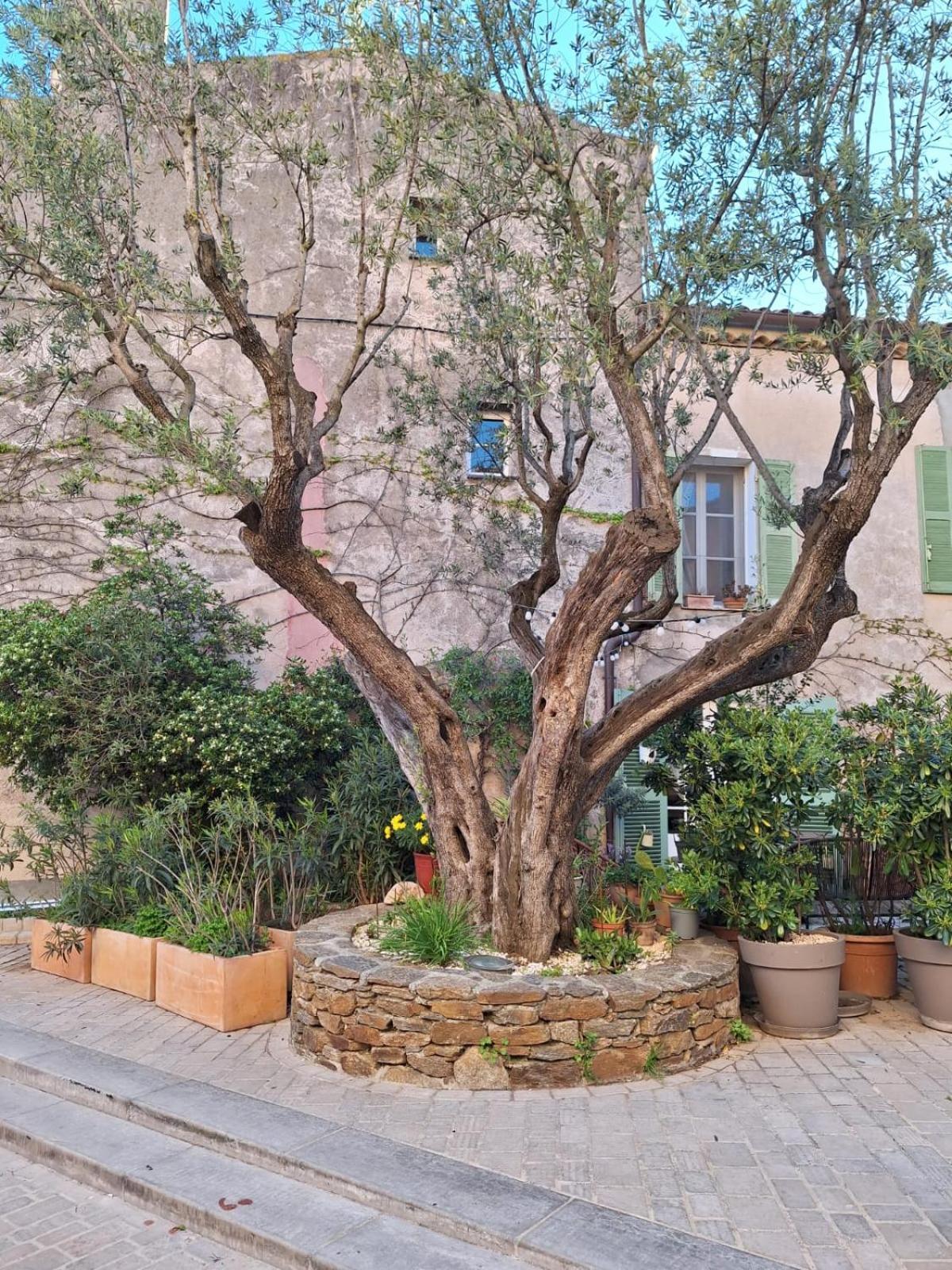 Standing, Vue Golfe Avec Parking Gratuit Apartment *