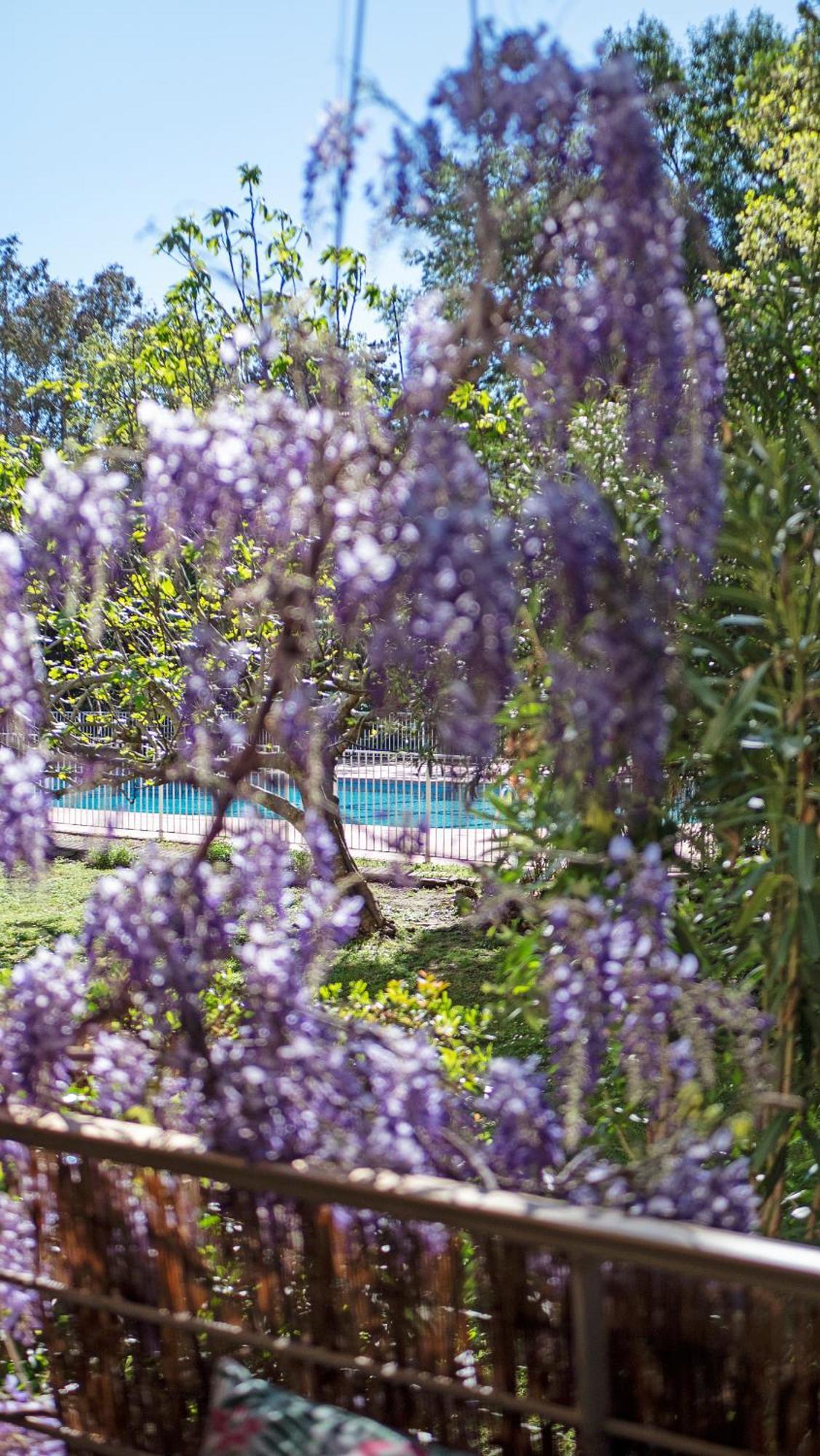 Casa Laura -parking - Pool