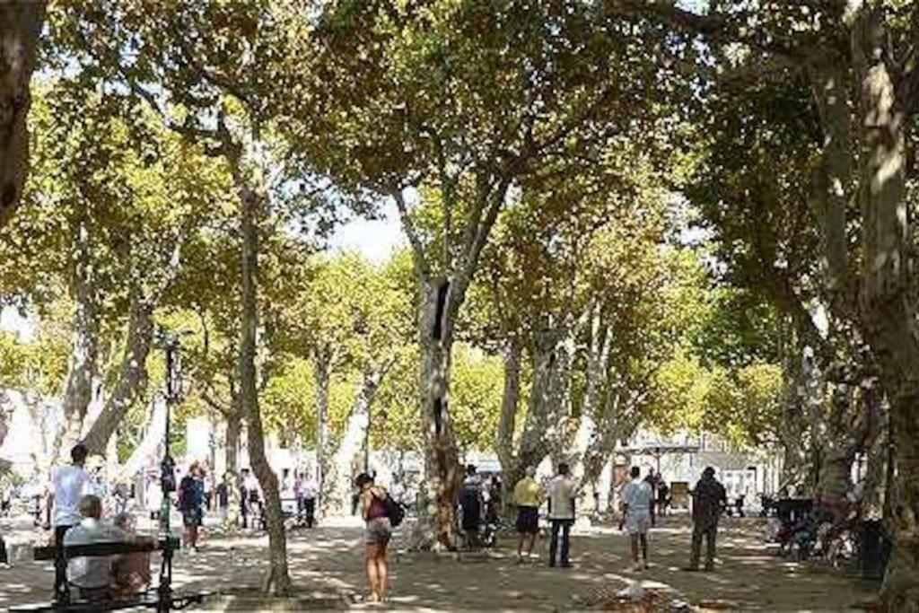 Junior Saint-tropez, Renove 2023, Plein Centre, Piscine, Climatise!
