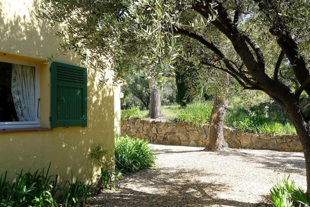 Aux Portes De Saint-Tropez