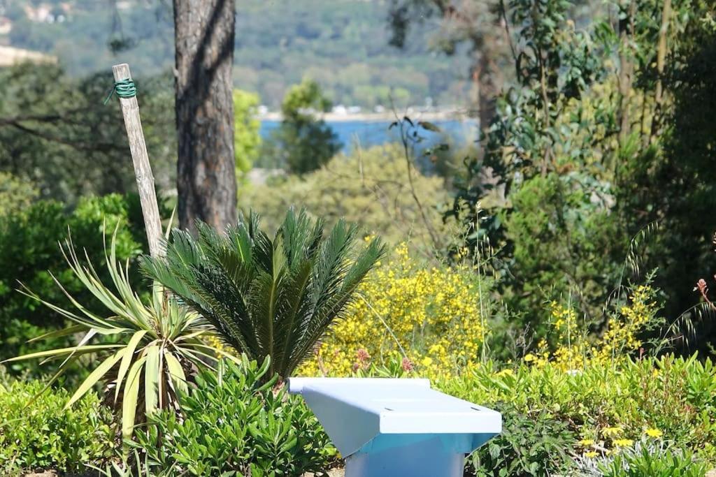 Villa Aux Portes De Saint-Tropez