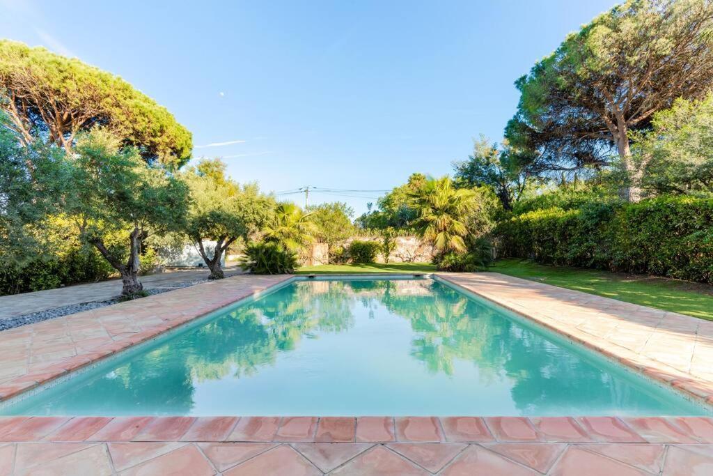 Magnifique Avec Piscine Et Hammam Villa