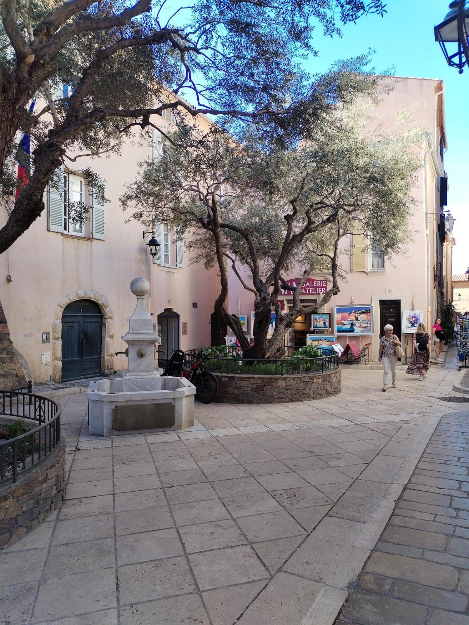 Florida * Saint-Tropez