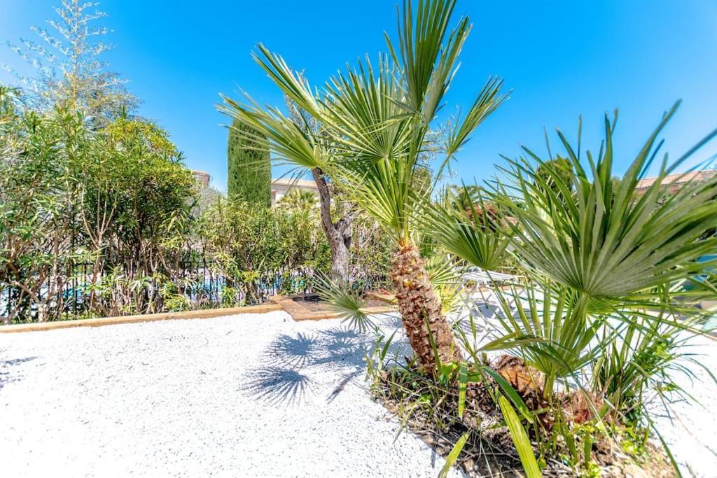 Apartamento Anais De Saint-tropez, Bel Appartement, Avec Piscine Et Jardin, Au Coeur De Tropez *