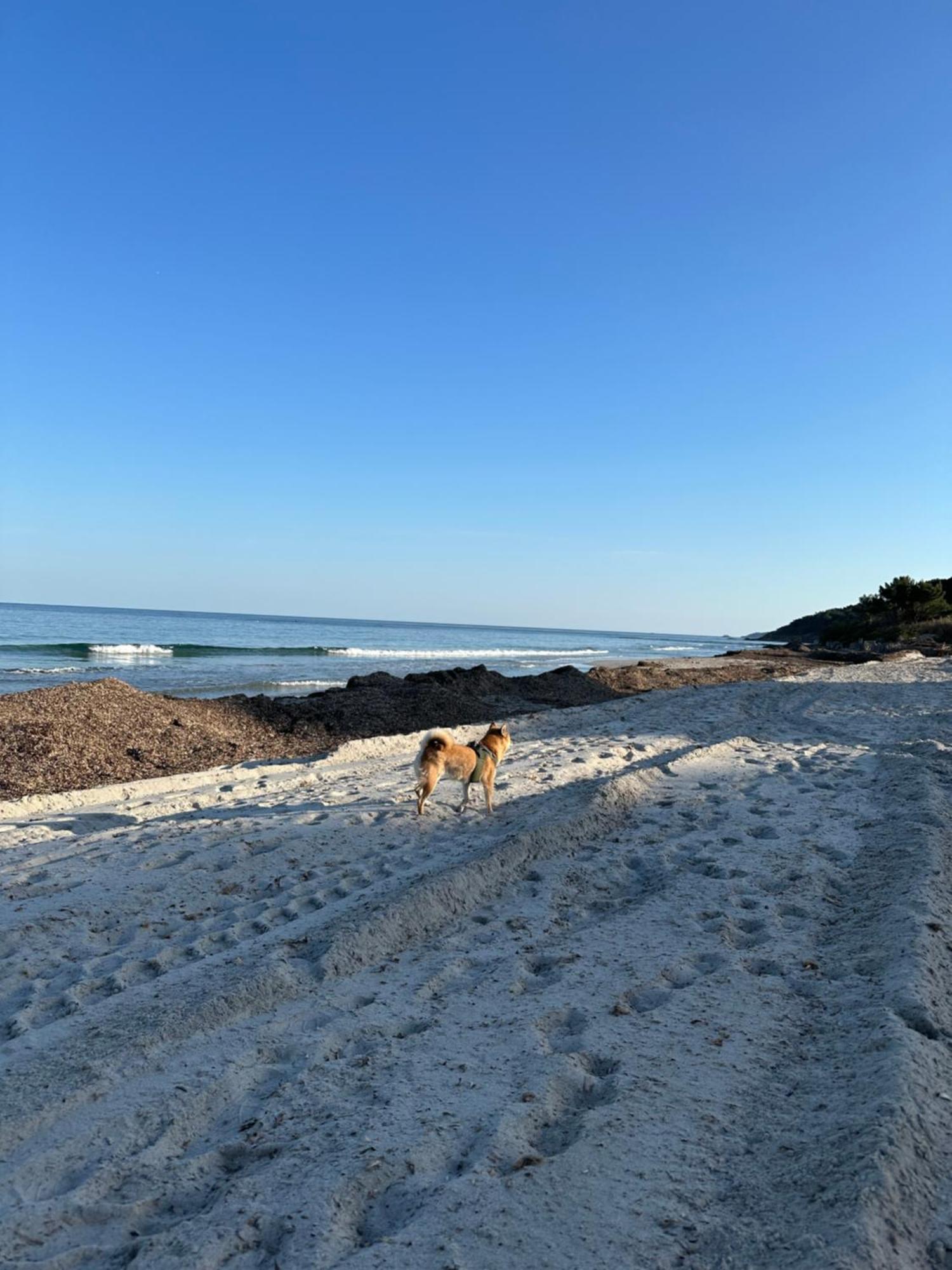 Des Salins Parc Des Salins St Tropez *