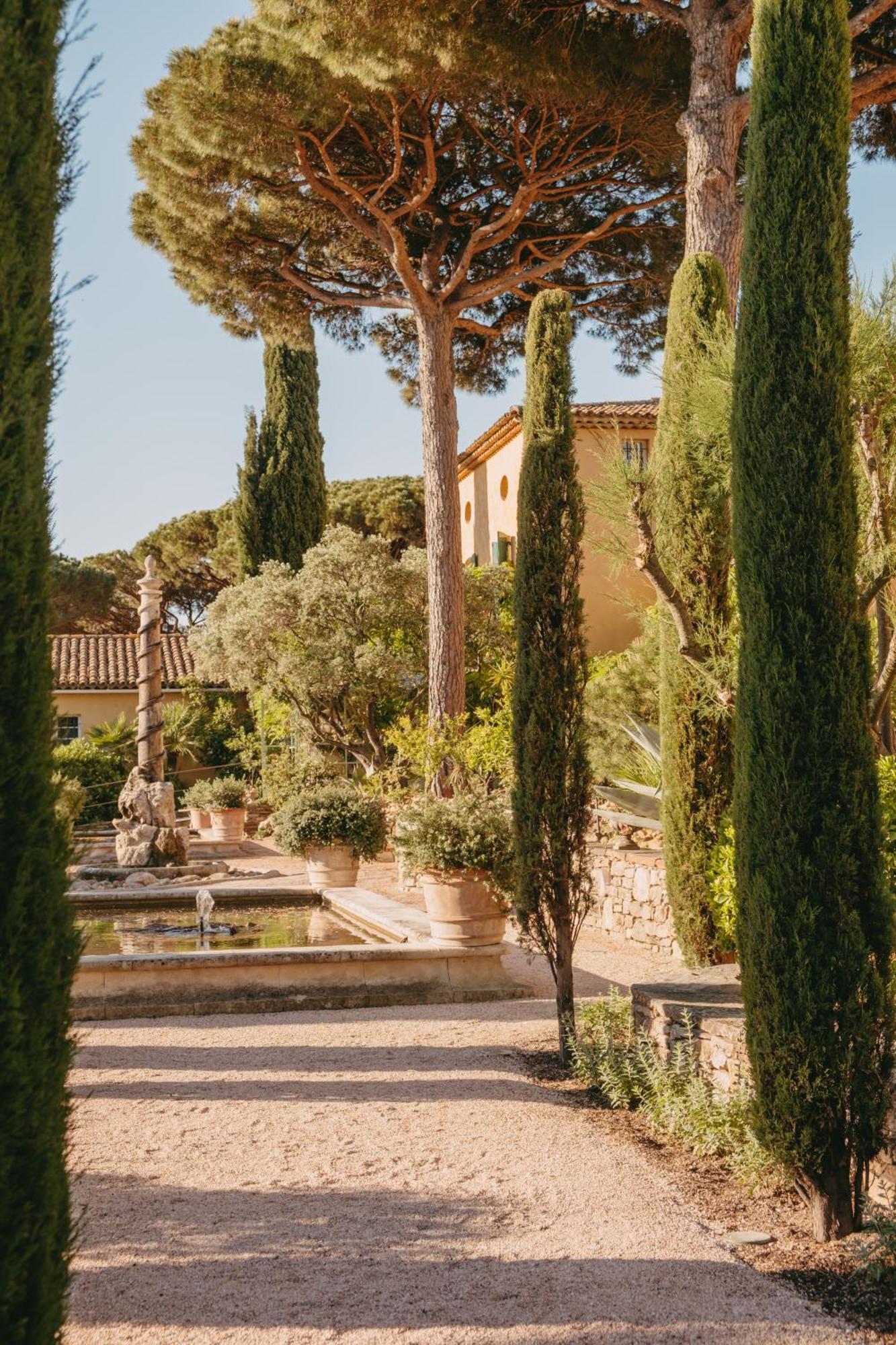 Marie Saint Tropez