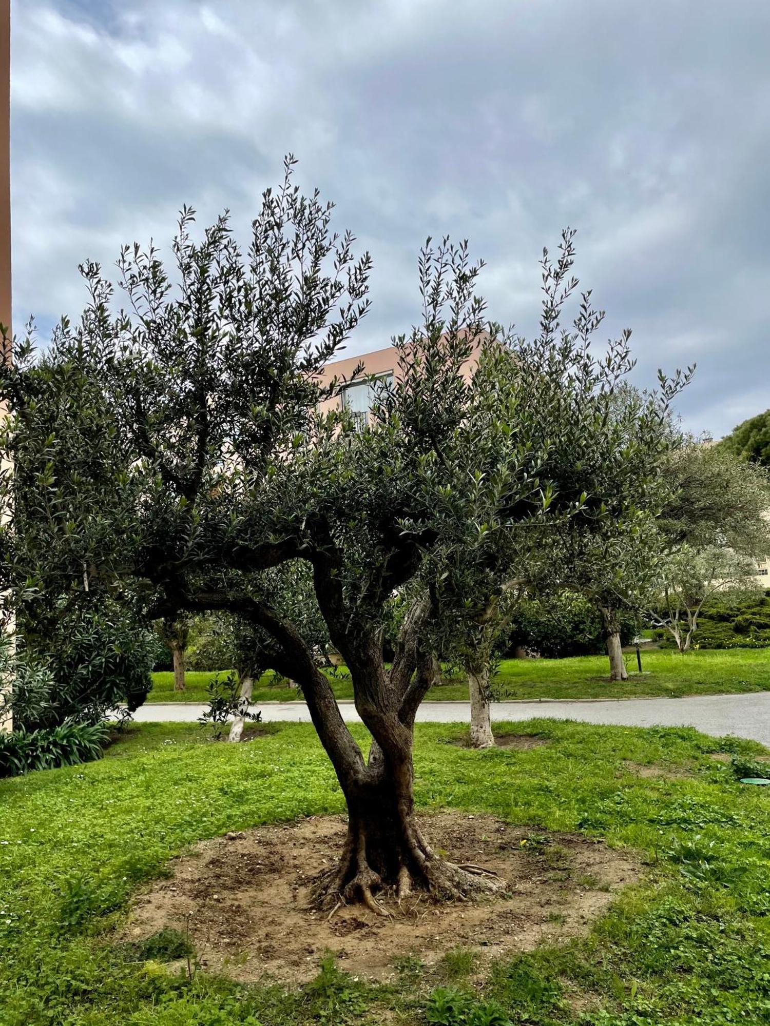 Tropez Apartment Saint-Tropez