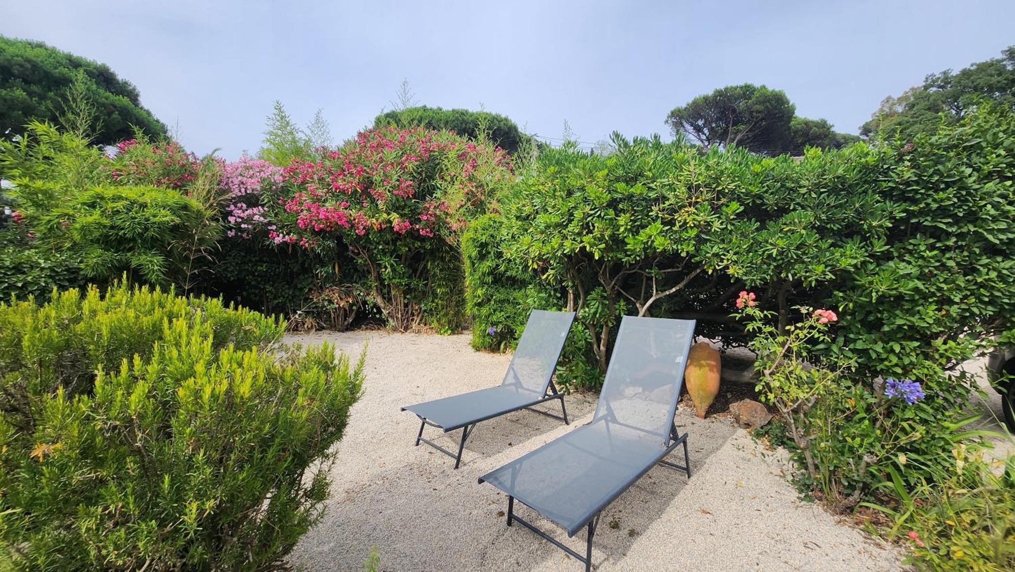 Argonaute Apartment *