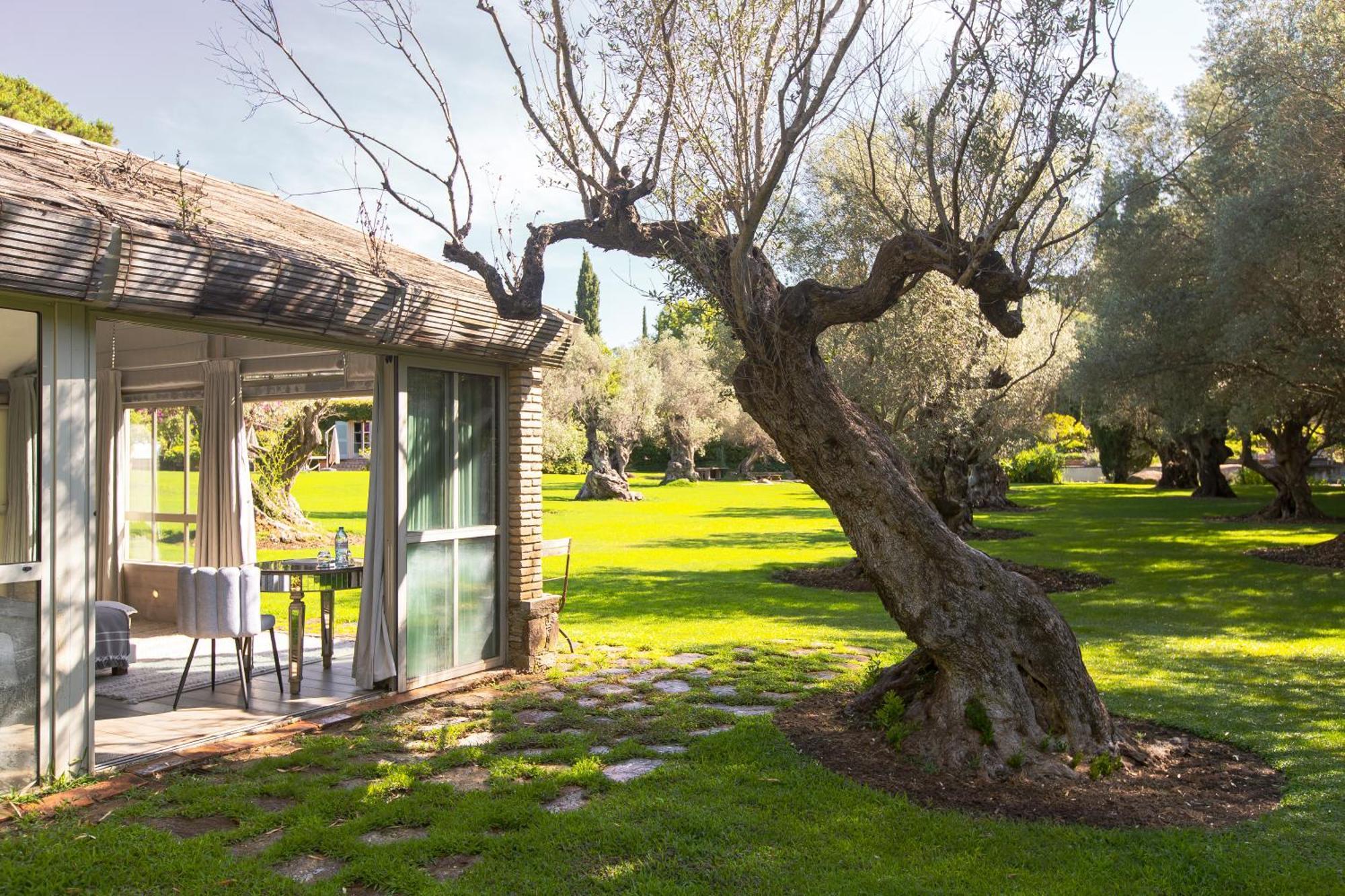 Guest house Domaine Les Mesanges Gassin