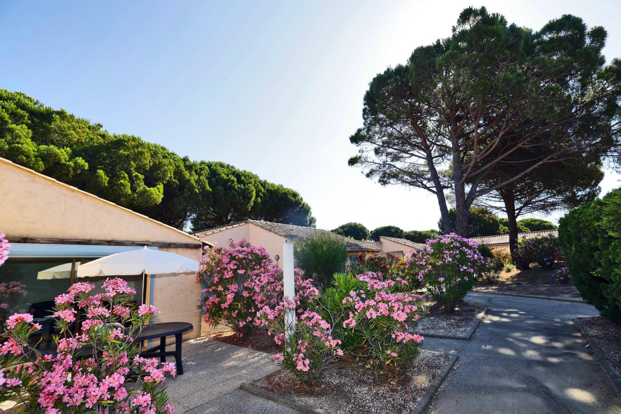 Village De - Le Sentier Des Pins Holiday park Ramatuelle