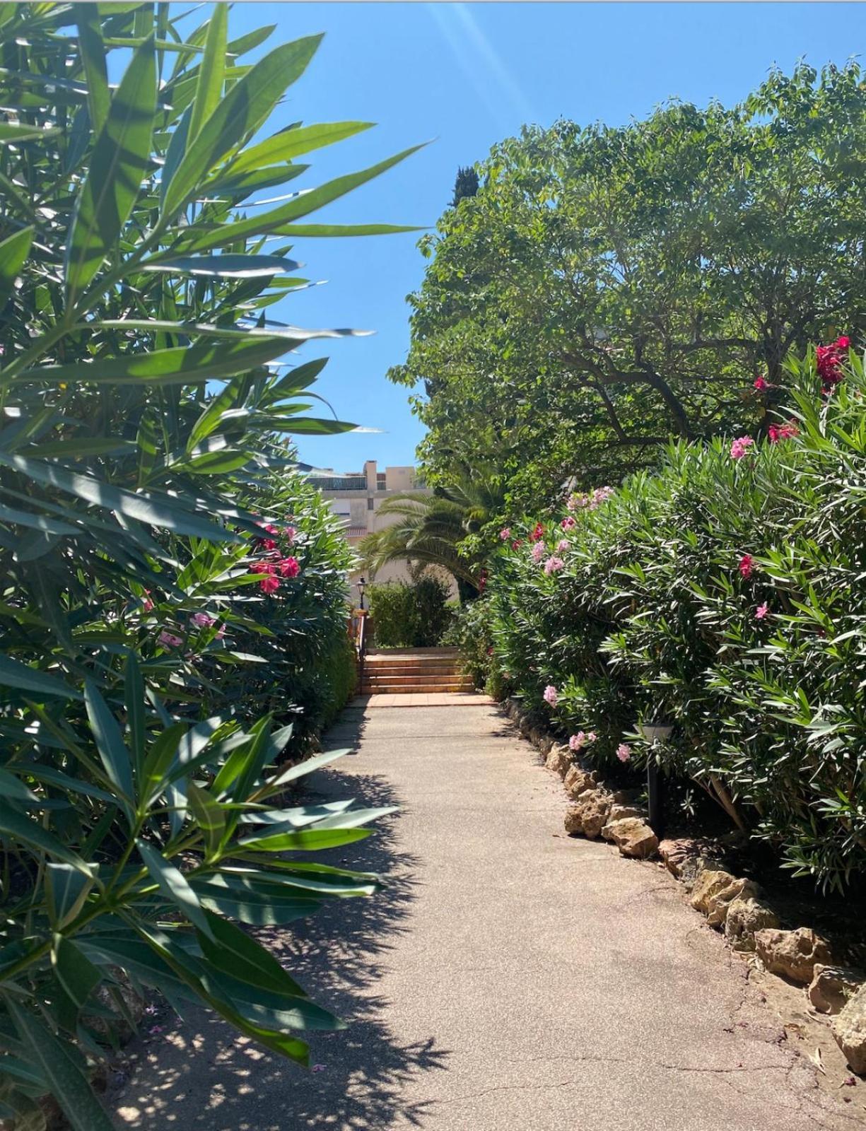 4 P Avec Grande Terrasse, Piscine, Parking Dans Tropez Centre Apartment *