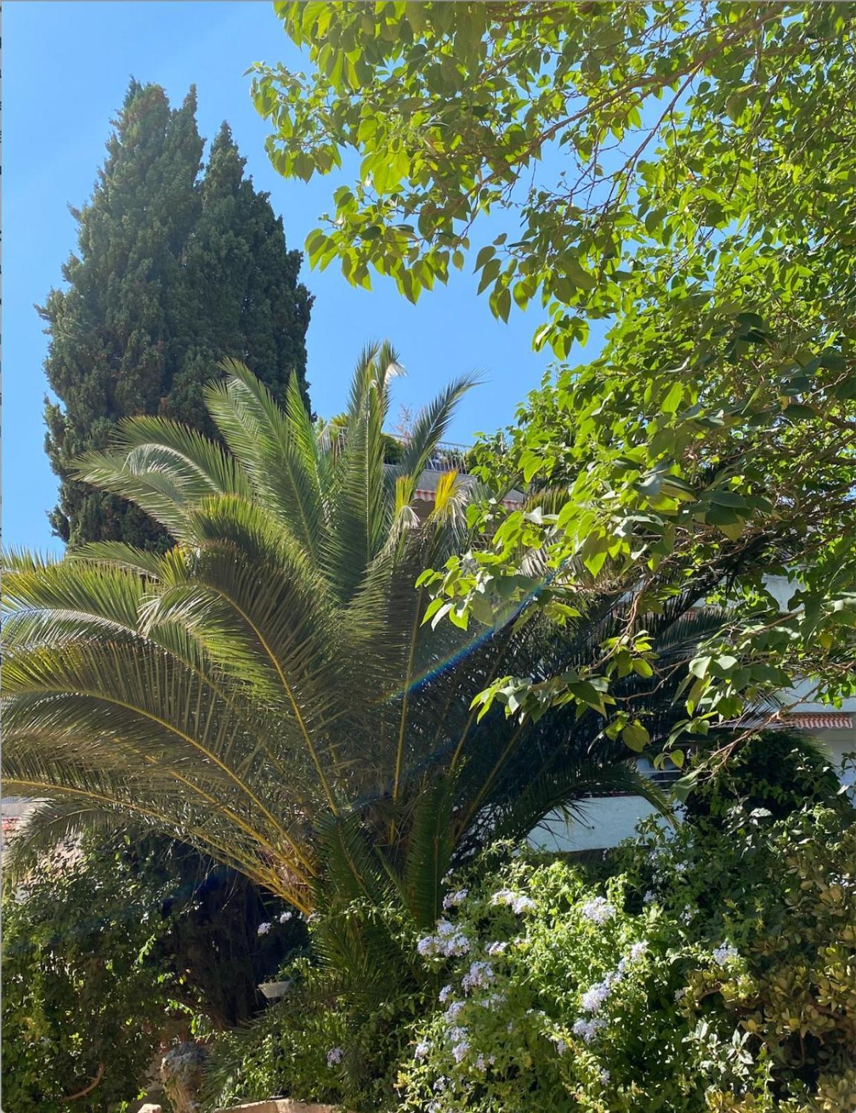 4 P Avec Grande Terrasse, Piscine, Parking Dans Tropez Centre Apartment *