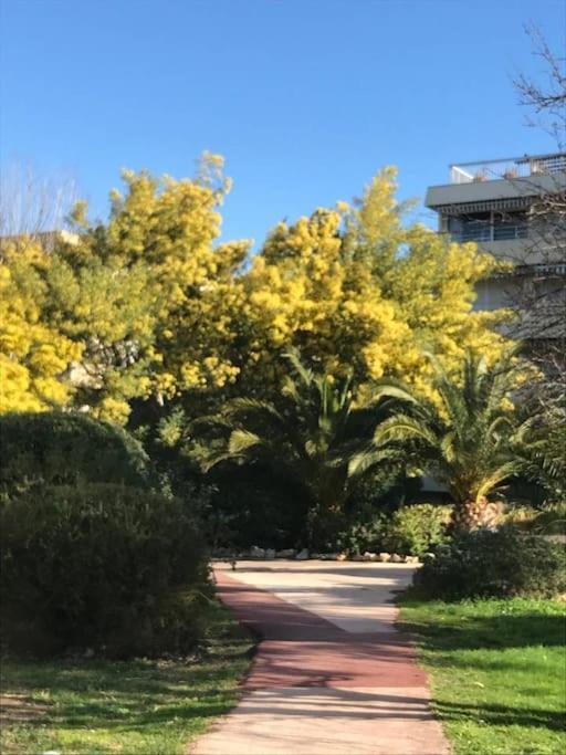 Centre St Tropez - Gd 2 Pieces, Piscine Et Parking Apartment Saint-Tropez