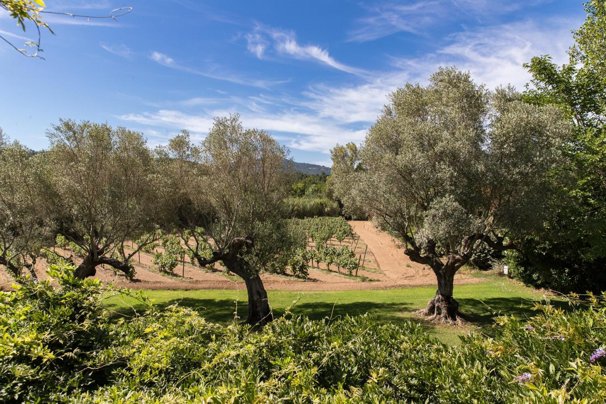Guest house Domaine Les Mesanges 3*