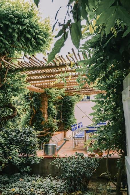 La Mandragore Villa Saint-Tropez