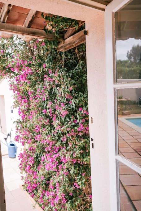 La Mandragore Villa *