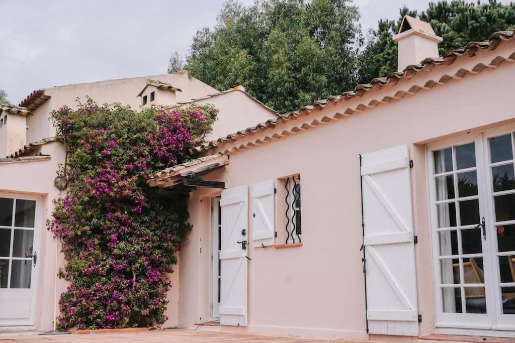 La Mandragore Saint-Tropez