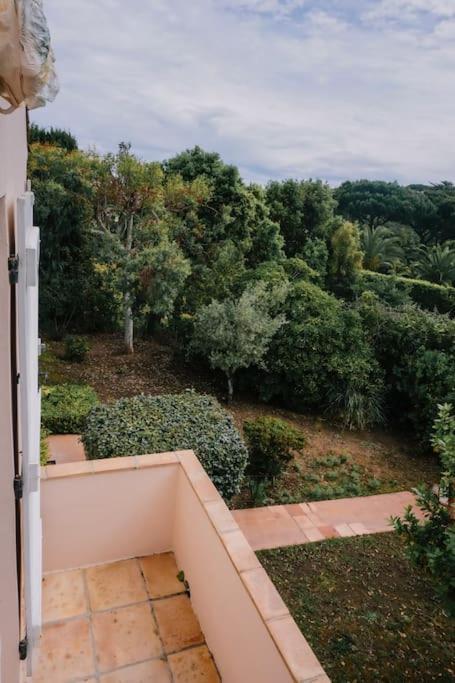 La Mandragore Saint-Tropez