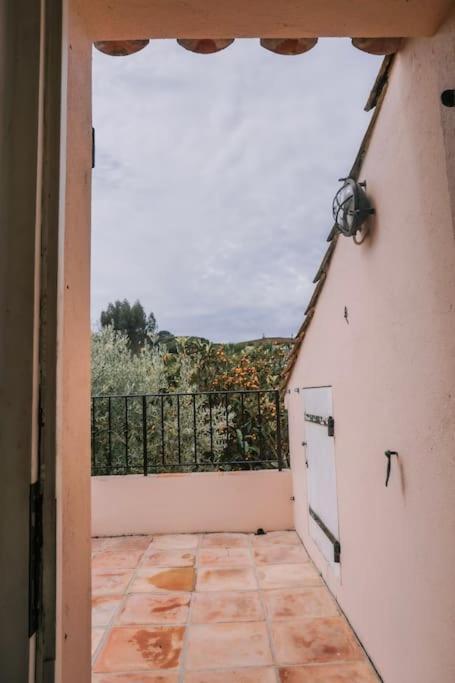 La Mandragore * Saint-Tropez