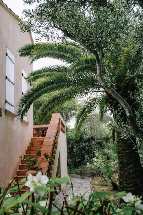 La Mandragore Saint-Tropez