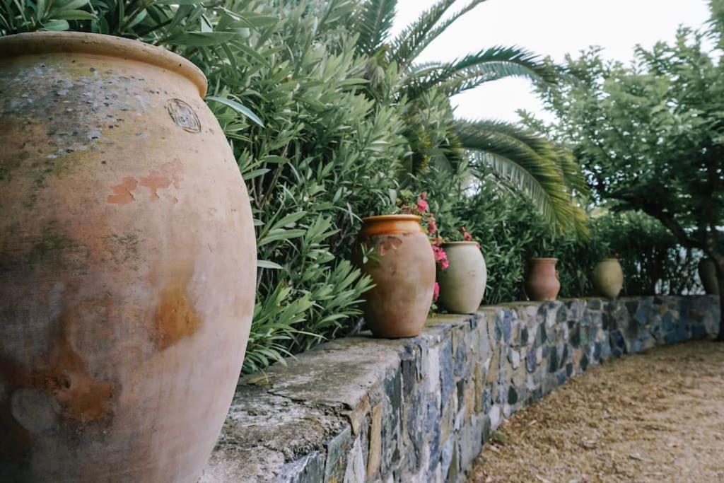 La Mandragore Villa Saint-Tropez