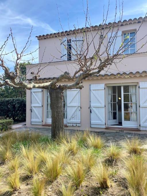La Mandragore Saint-Tropez