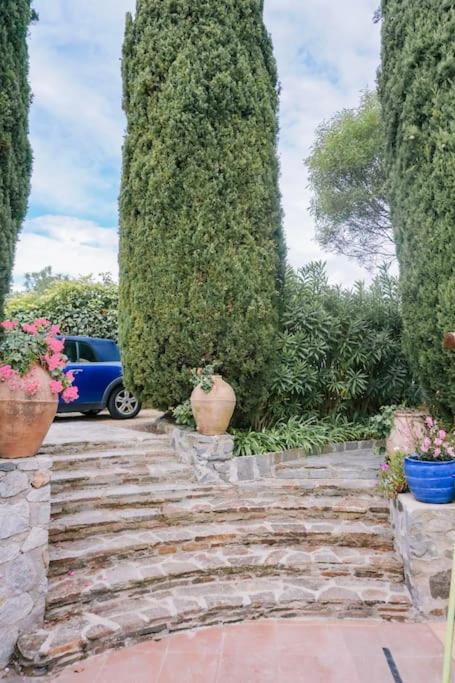 La Mandragore Villa *