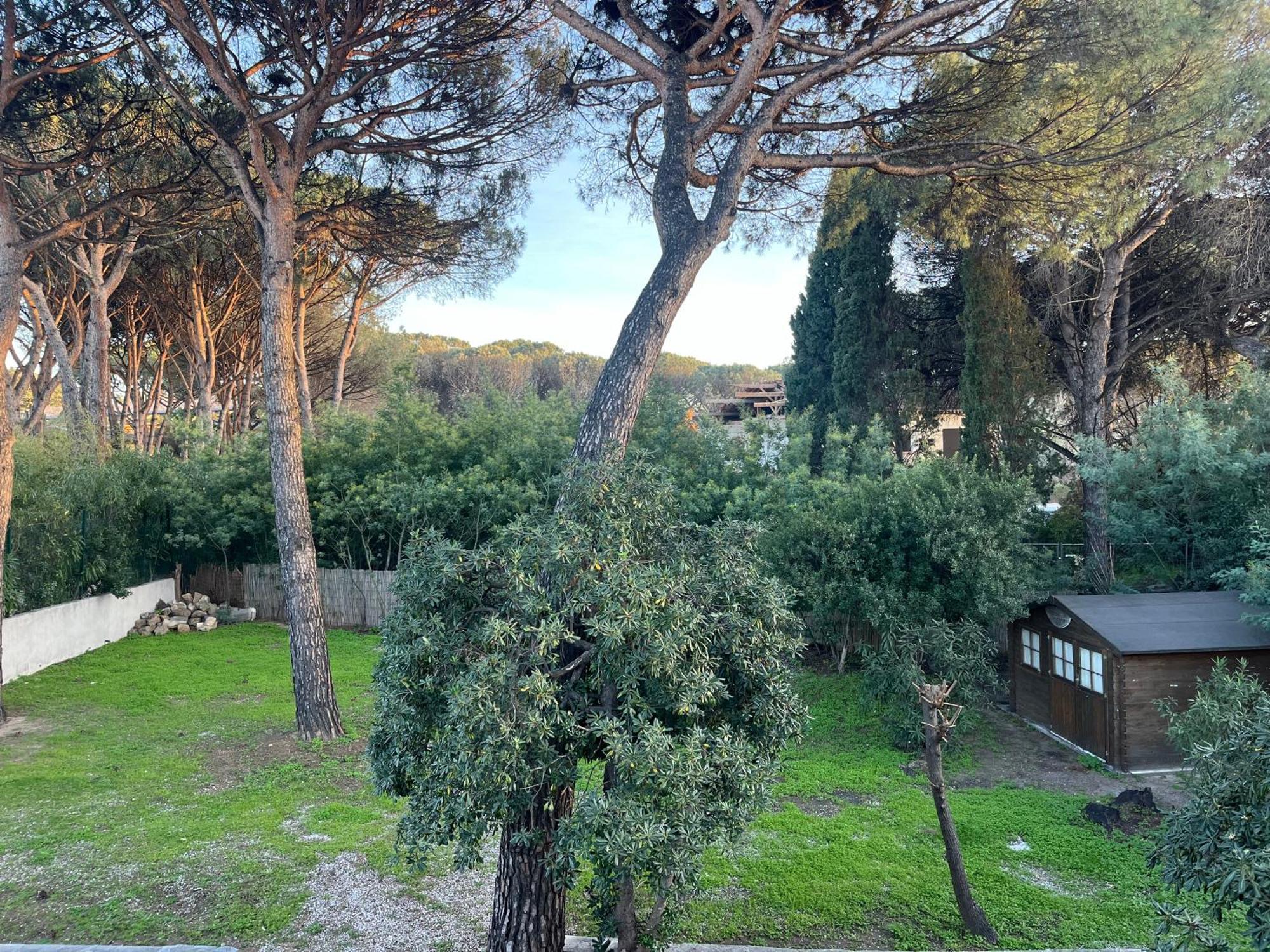 Bastide De La Pinede Villa *