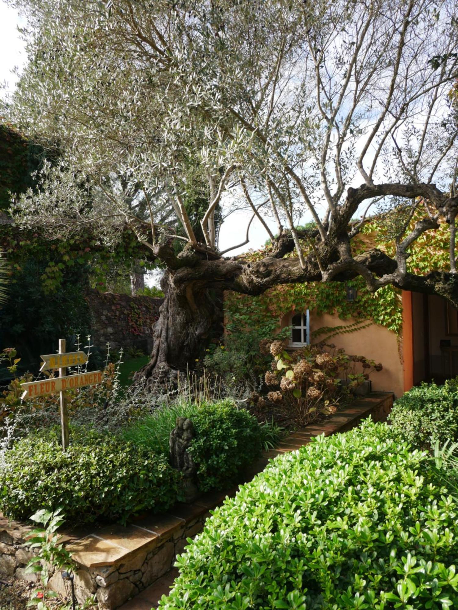 Domaine Les Mesanges 3*