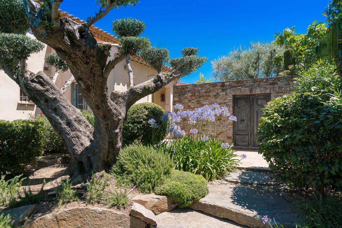 Blue Med Saint-Tropez