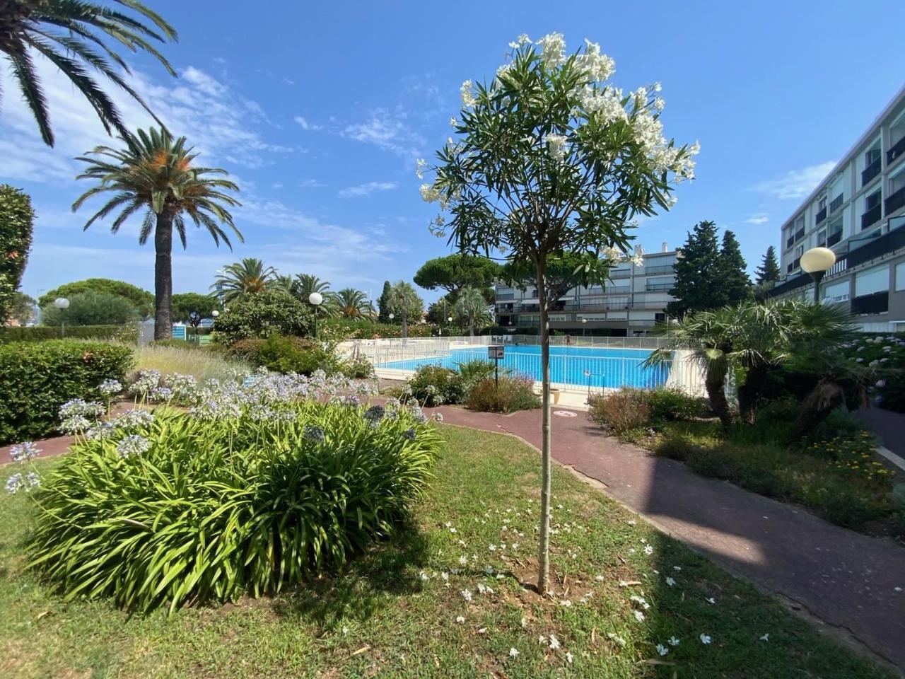 60m2 Piscine Au Coeur De *