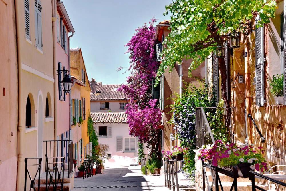 Apartment Un Nid A Tropez Saint-Tropez