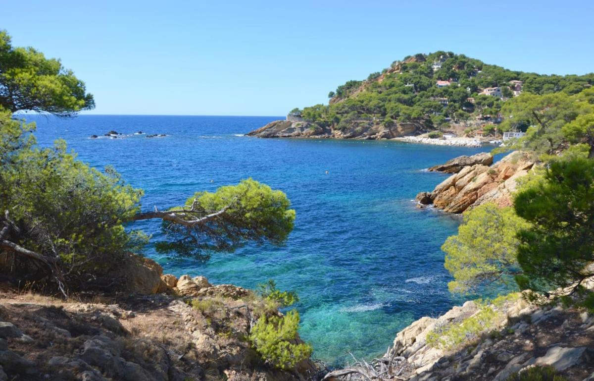 Appartement Un Nid A Tropez