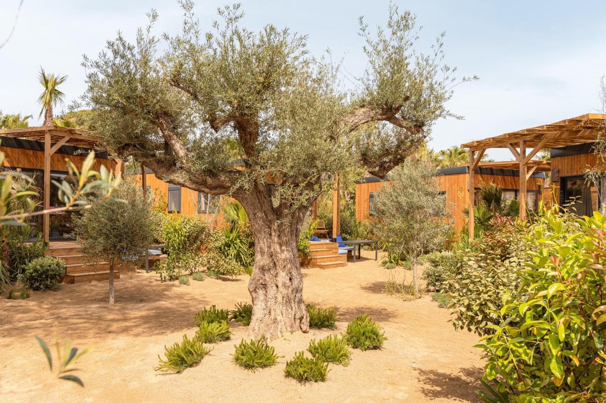 Holiday park Toison D'or 5*
