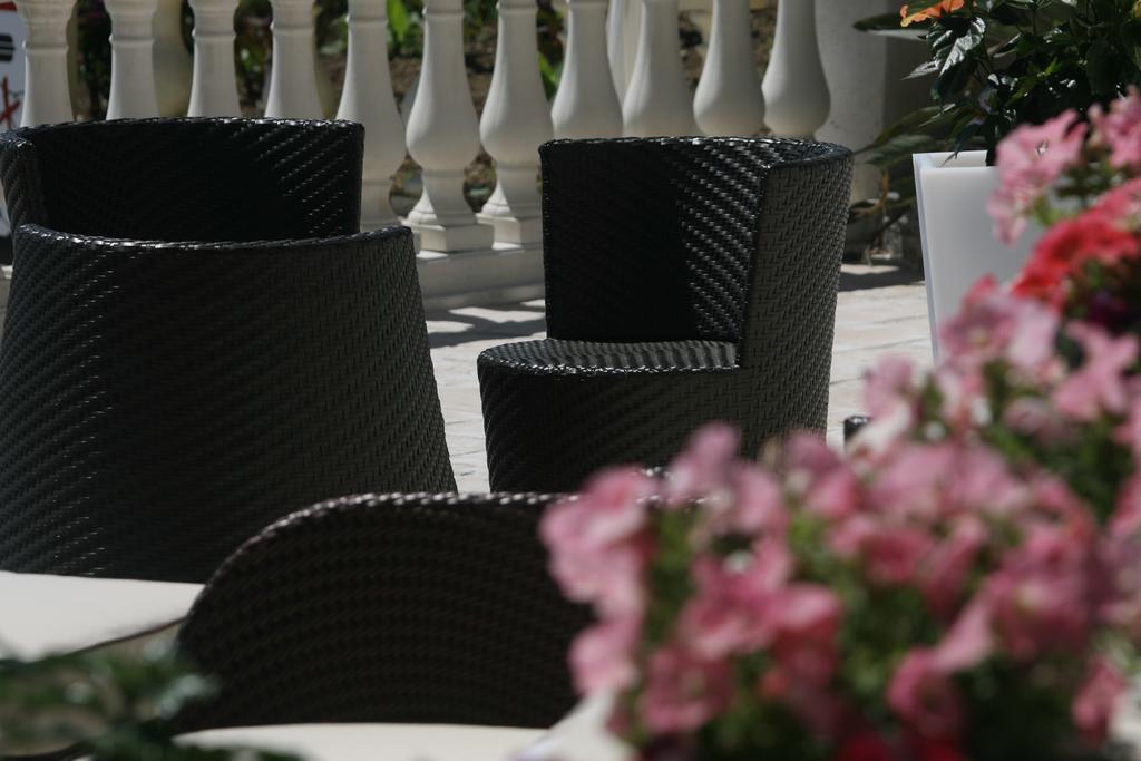 Bellevue Hotel