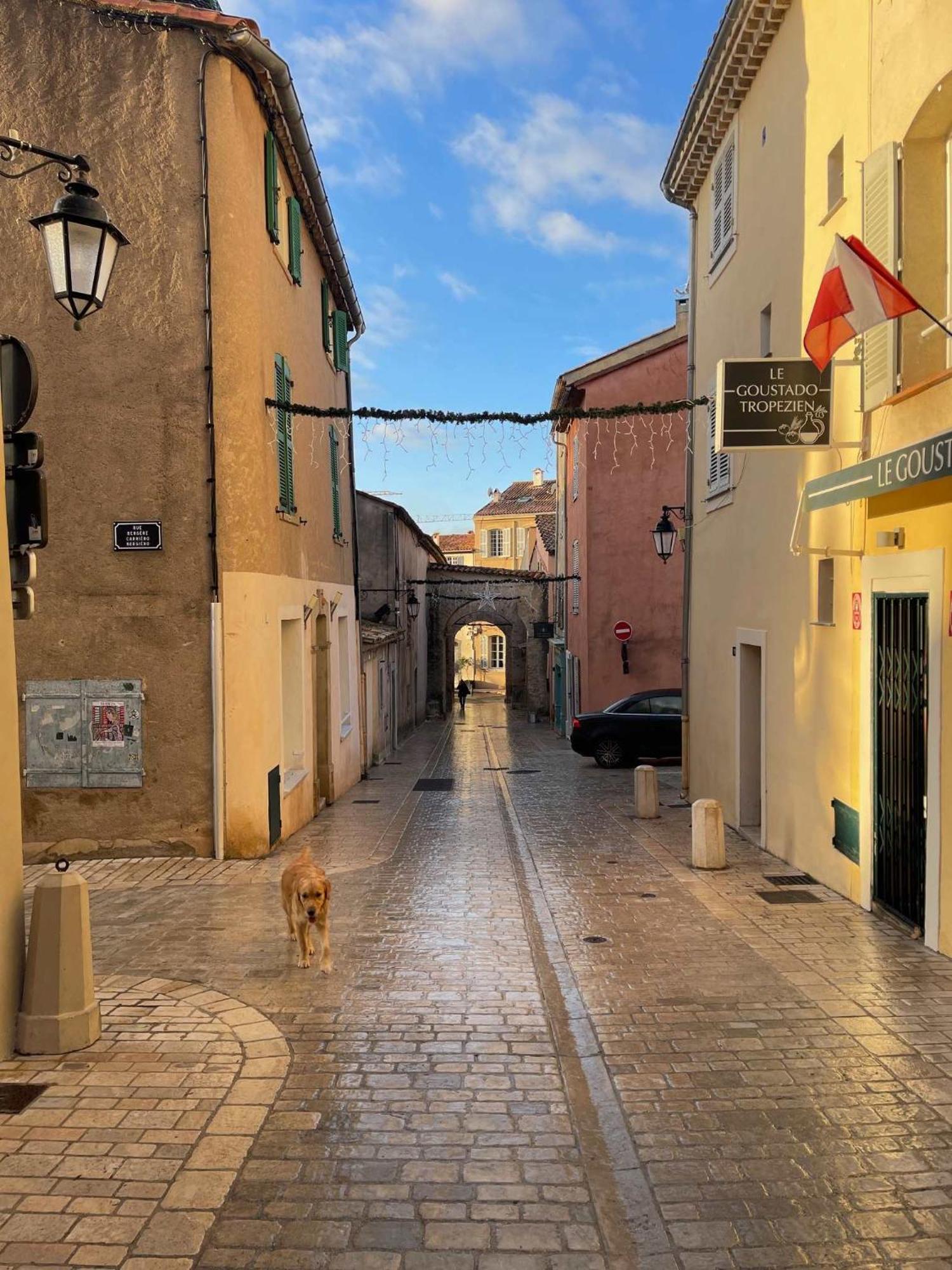 Sevo - *