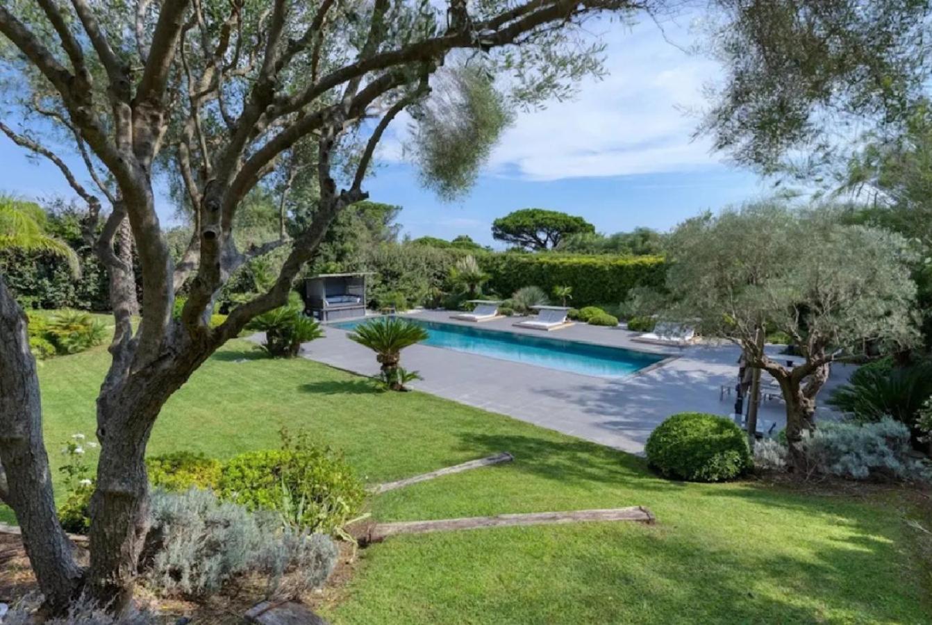 Thivie Saint-Tropez