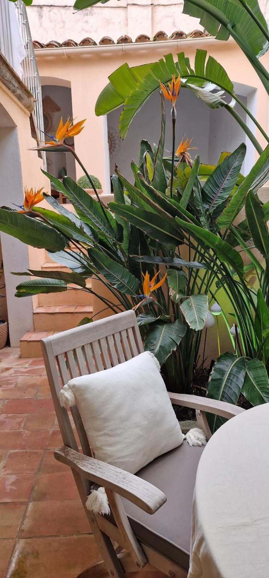 Maison Magdeleine Pousada Saint-Tropez