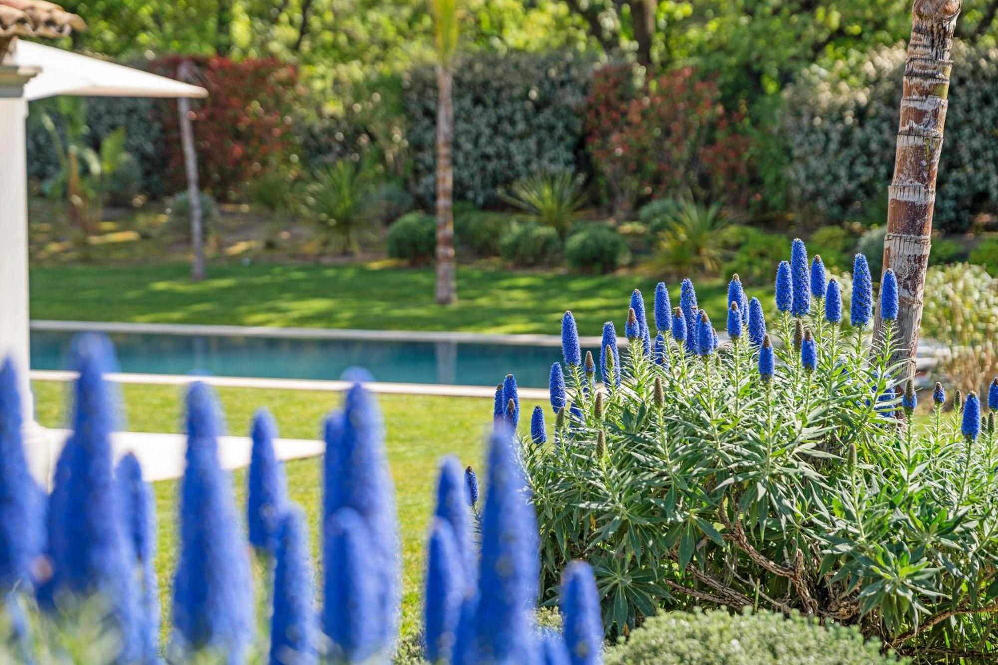 Villa Exceptional Villa- Ac- 5br-10p- Baie Des Canebiers Saint-Tropez