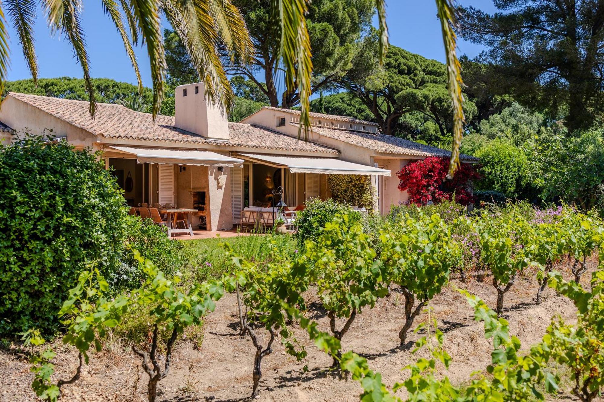 Les Vignes Basses - Tropez * Saint-Tropez