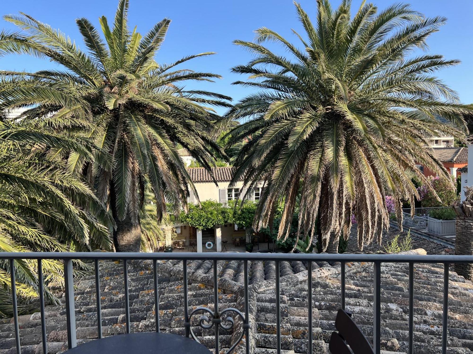 Pastis Saint-Tropez