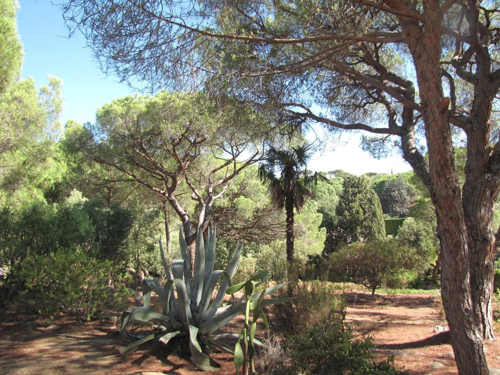 Les Girelles Saint-Tropez