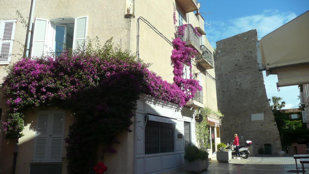 Apartment Studio Citadelle *