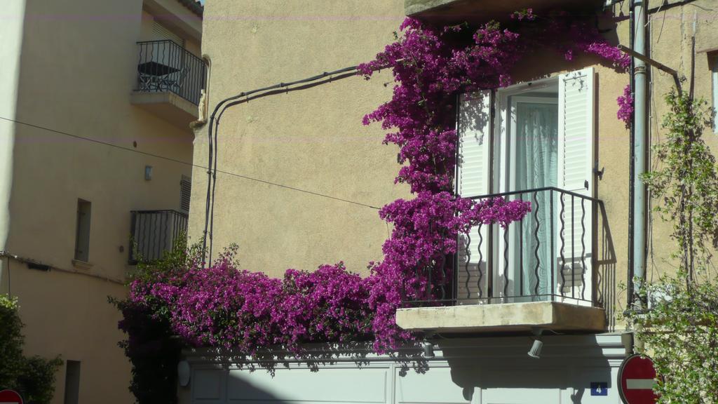 Studio Citadelle Saint-Tropez