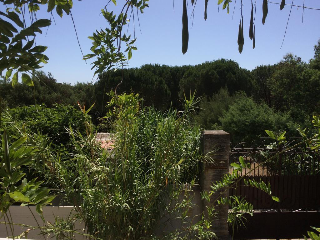 Hébergement de vacances Maison D'elie Saint-Tropez