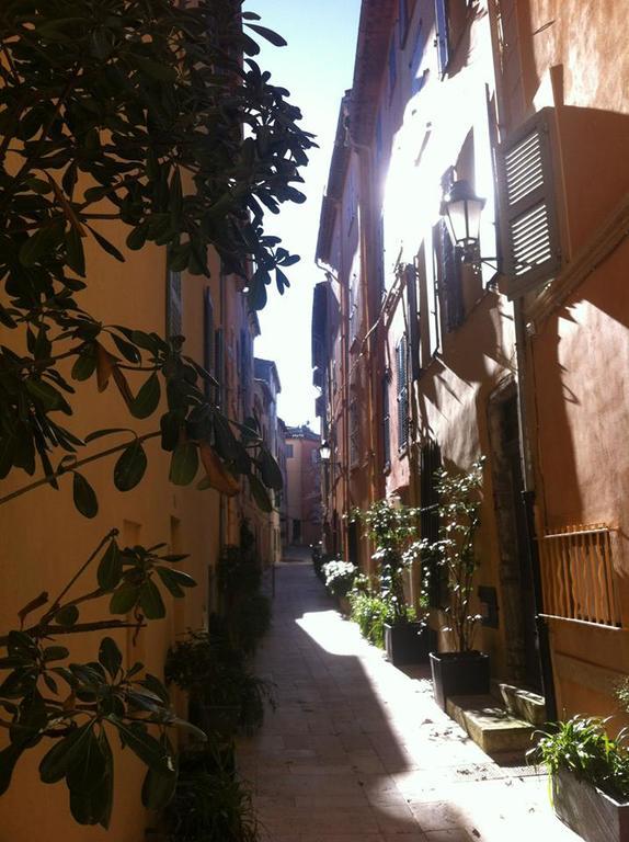 Les Floralies Saint-Tropez