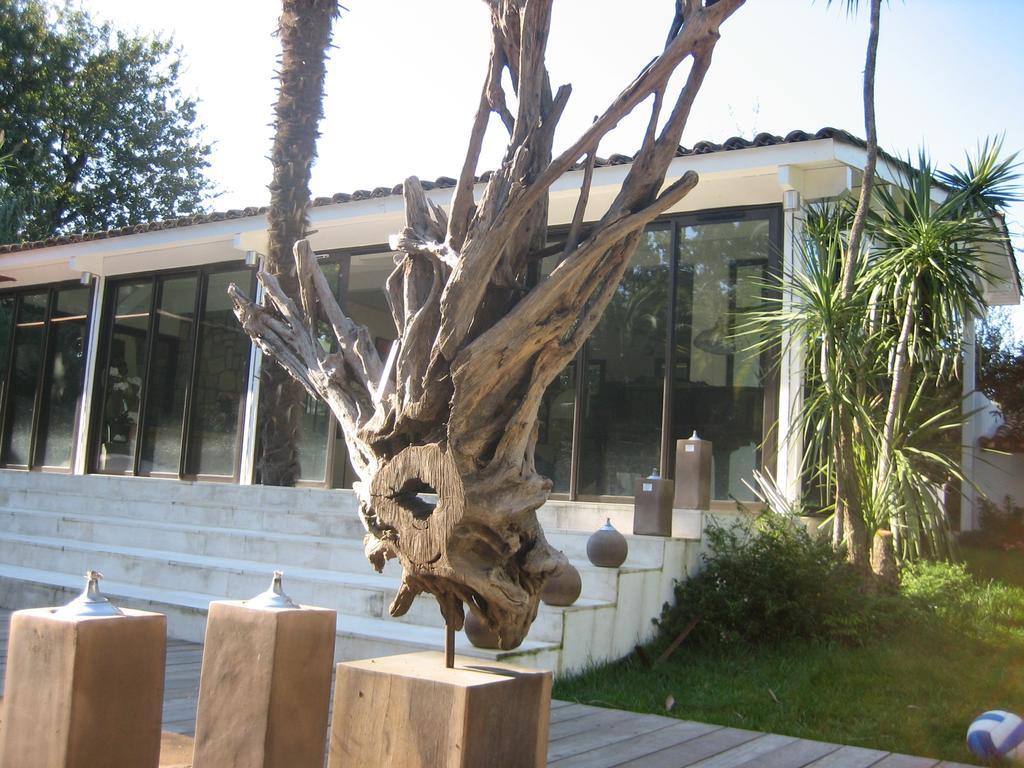 Villa Les Marmottes Saint-Tropez